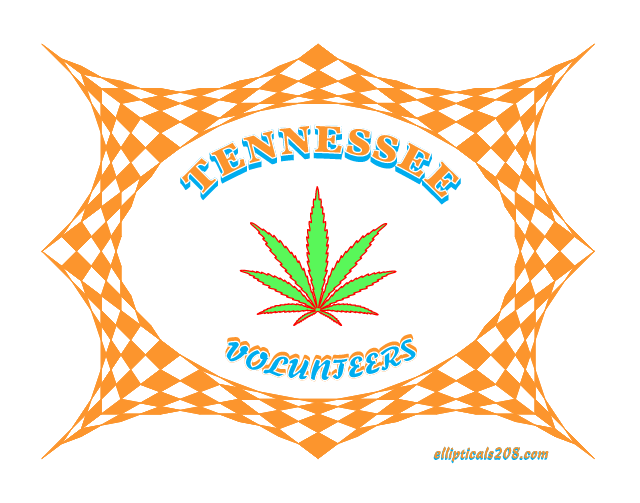 Tennessee Volunteers 11x14''