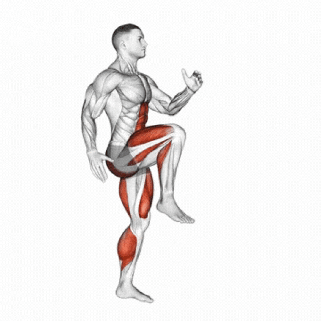 Pacotes de Gifs de Treinamento em Casa e Funcional