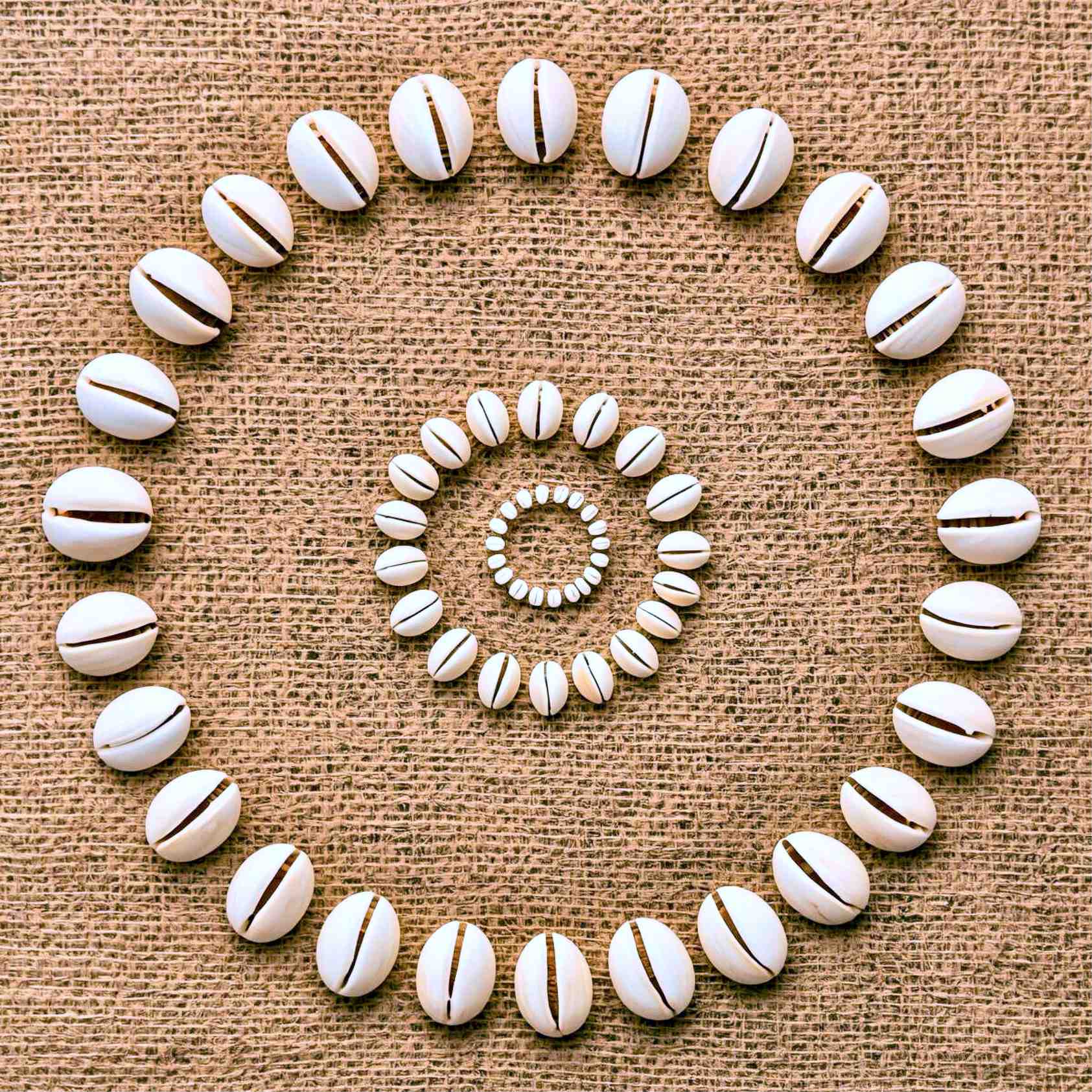 Cowrie Shells Decoration Art