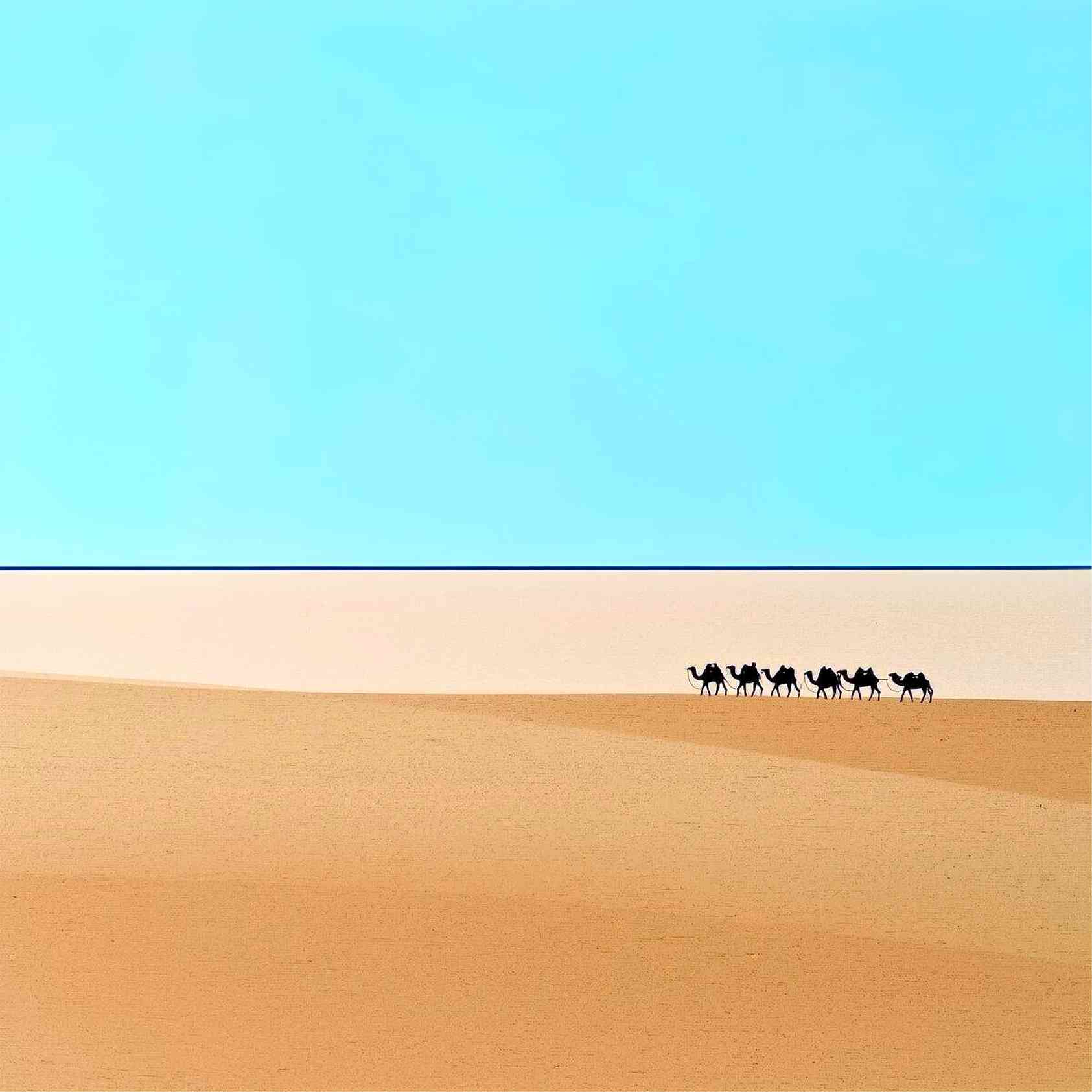 Desert Camel Caravan Art Print