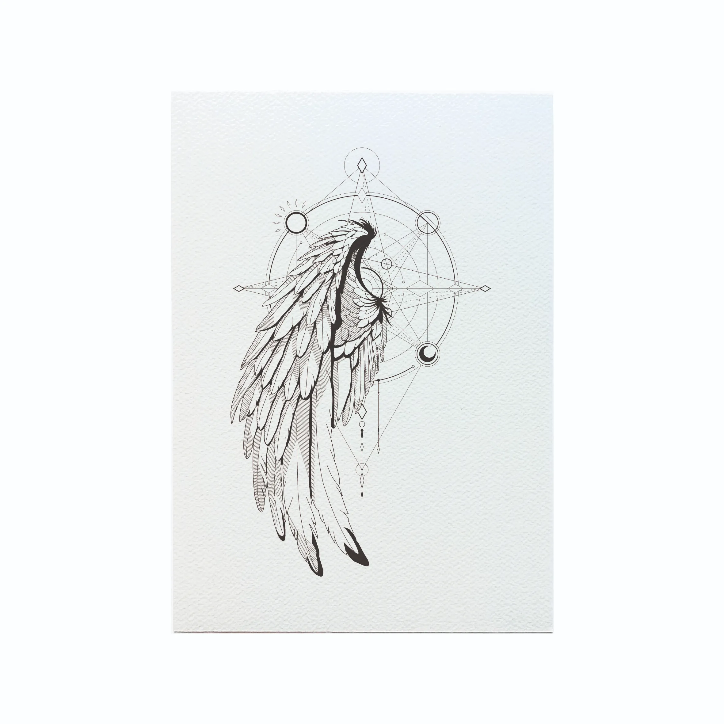 VLEUGEL VAN VRIJHEID