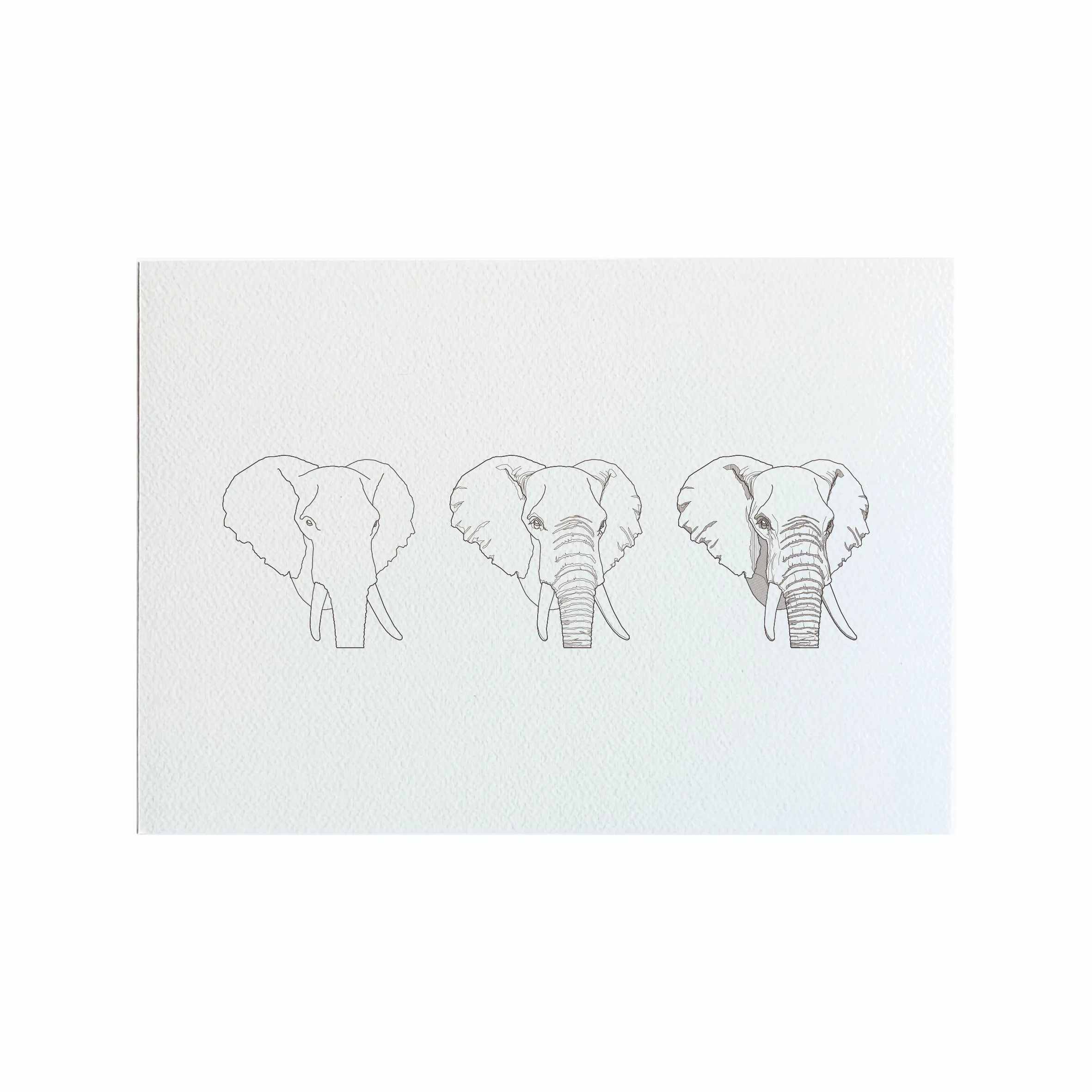 OLIFANT