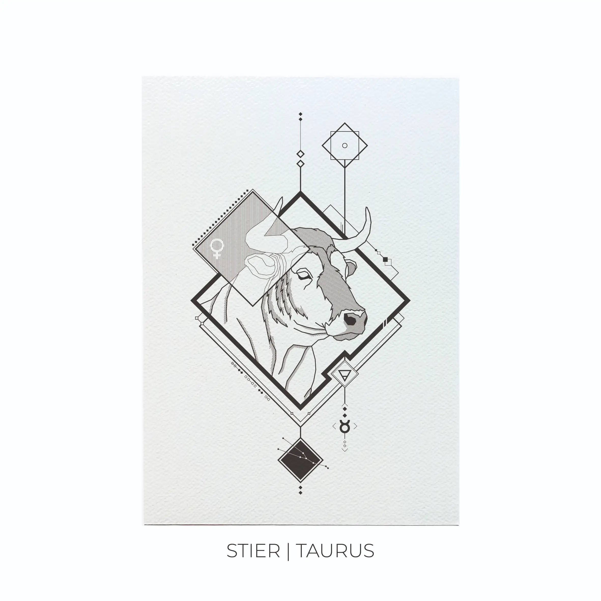 Sterrenbeelden Bundels