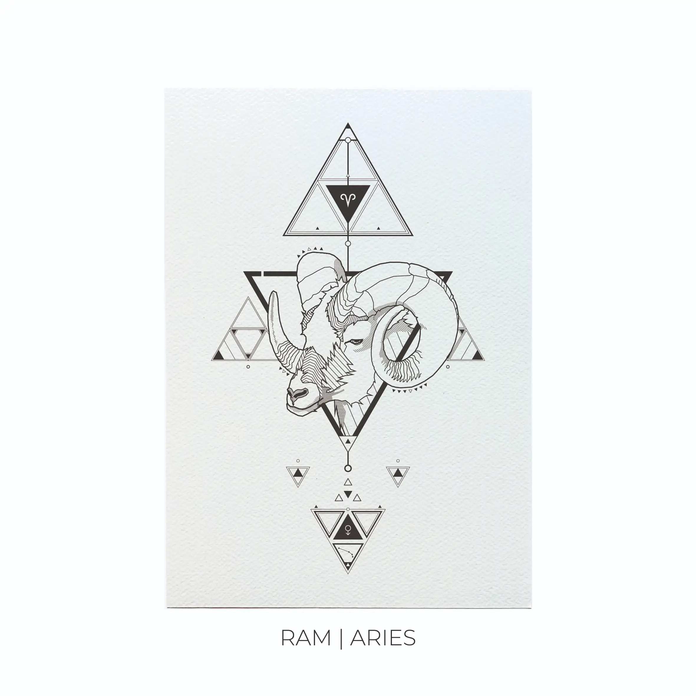 Sterrenbeelden Bundels