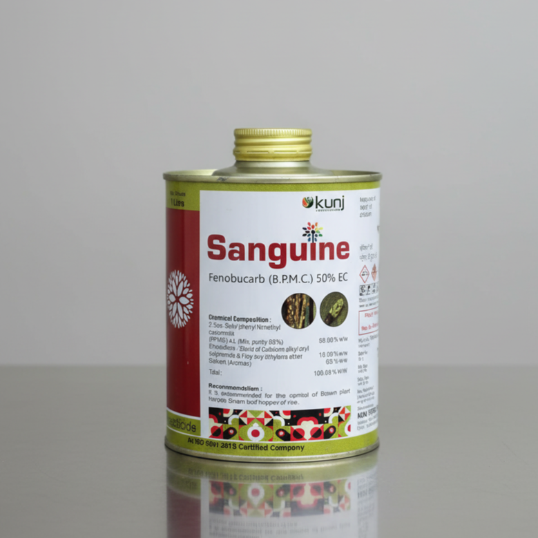 Sanguine 