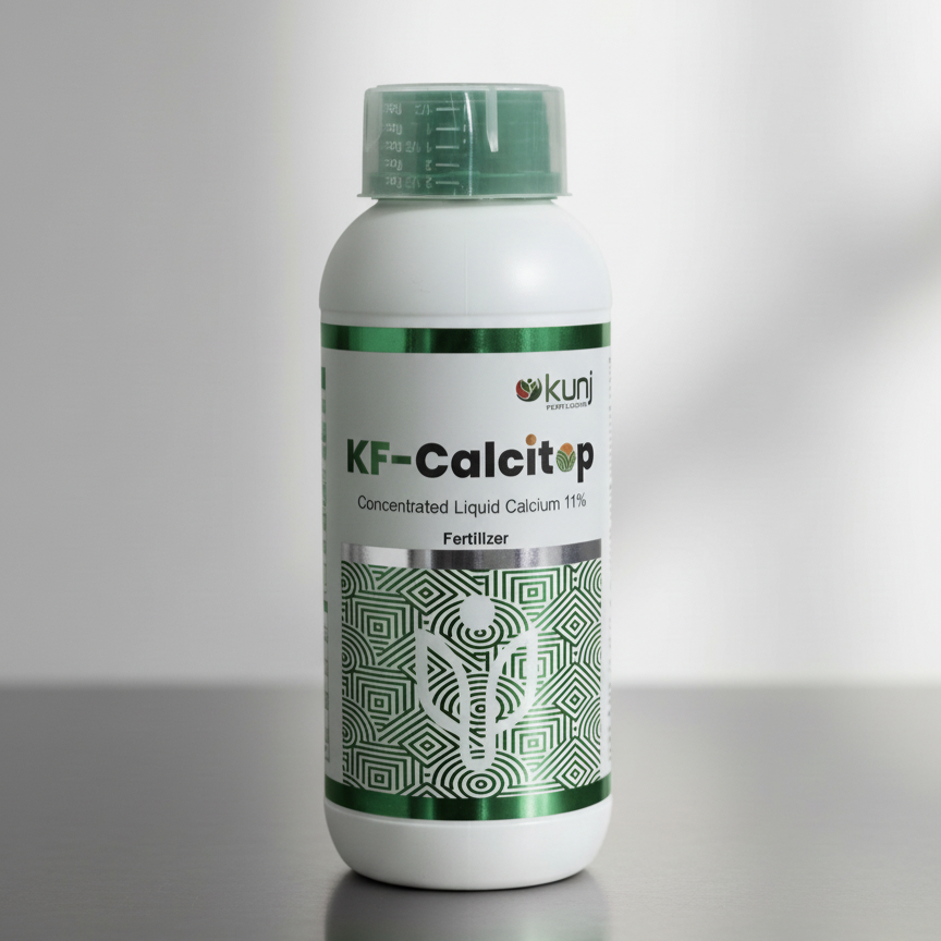 KF-Calcitop 