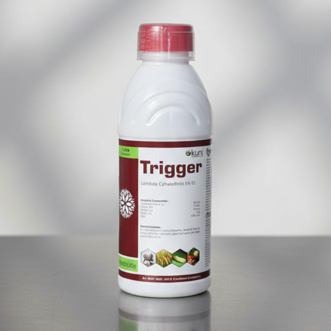 Trigger 