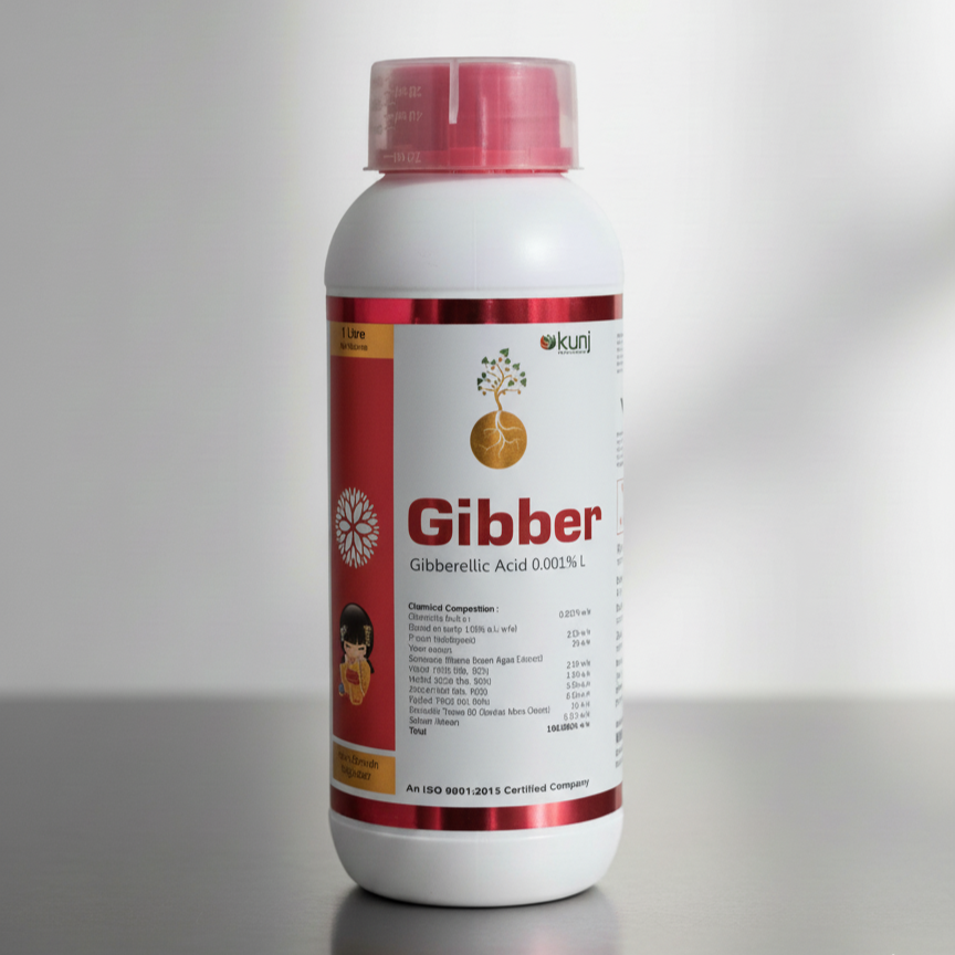 Gibber 
