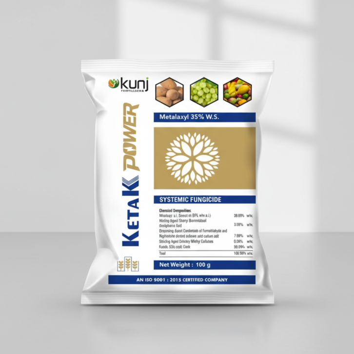 Ketak Power 
