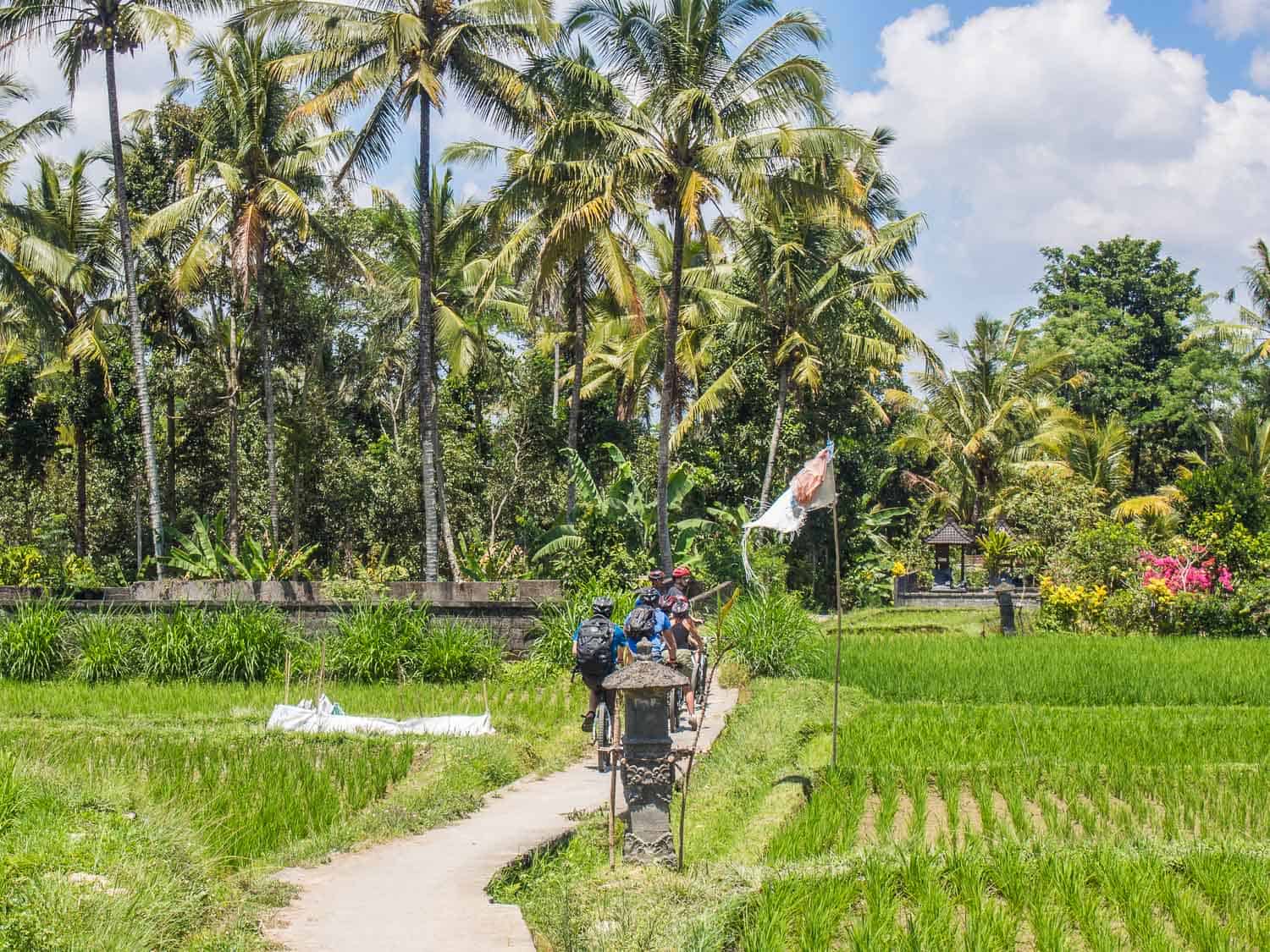 Ubud Tour