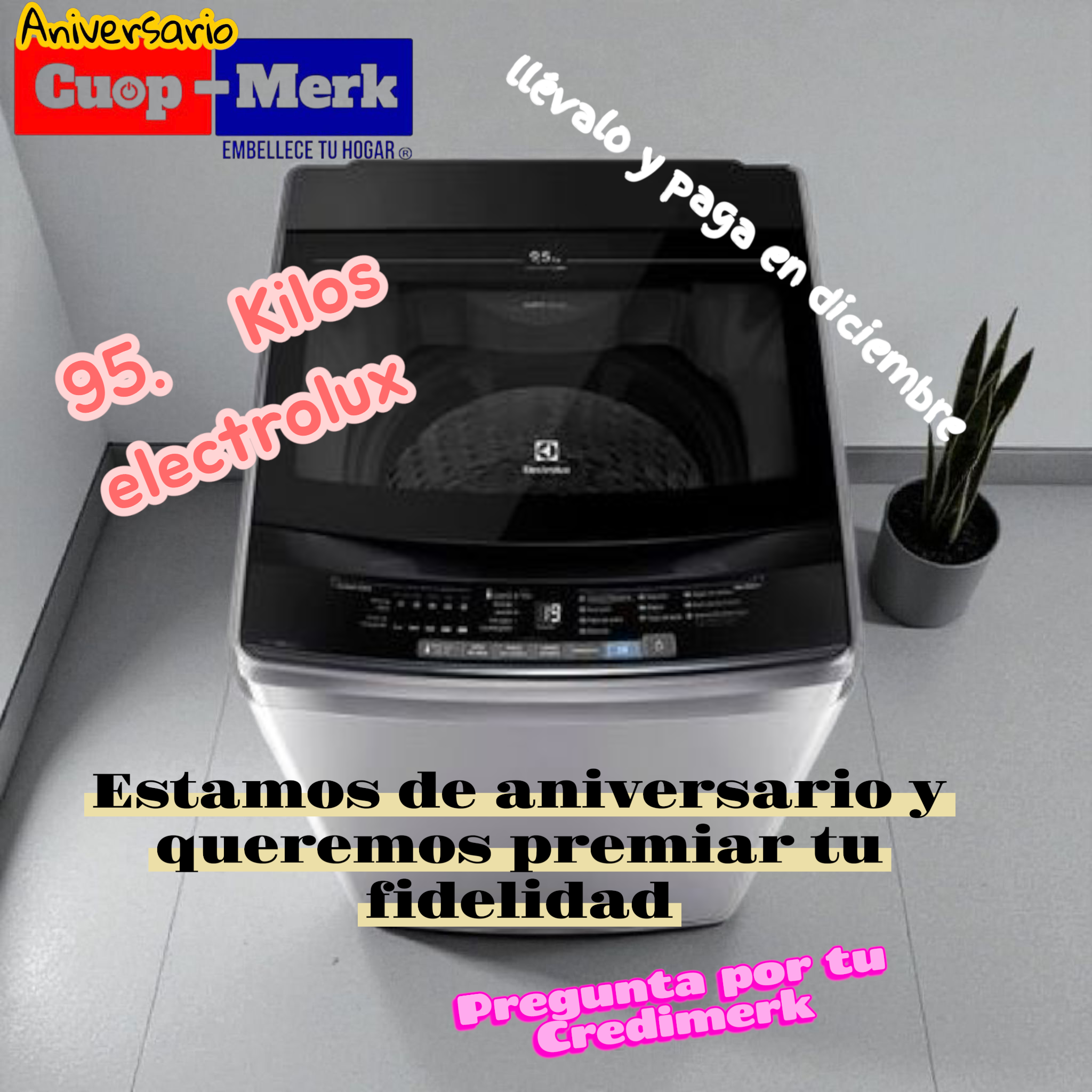 Lavadora Electrolux 9.5 kg