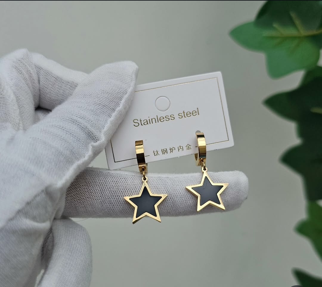 Star Stainless Steel Earrings