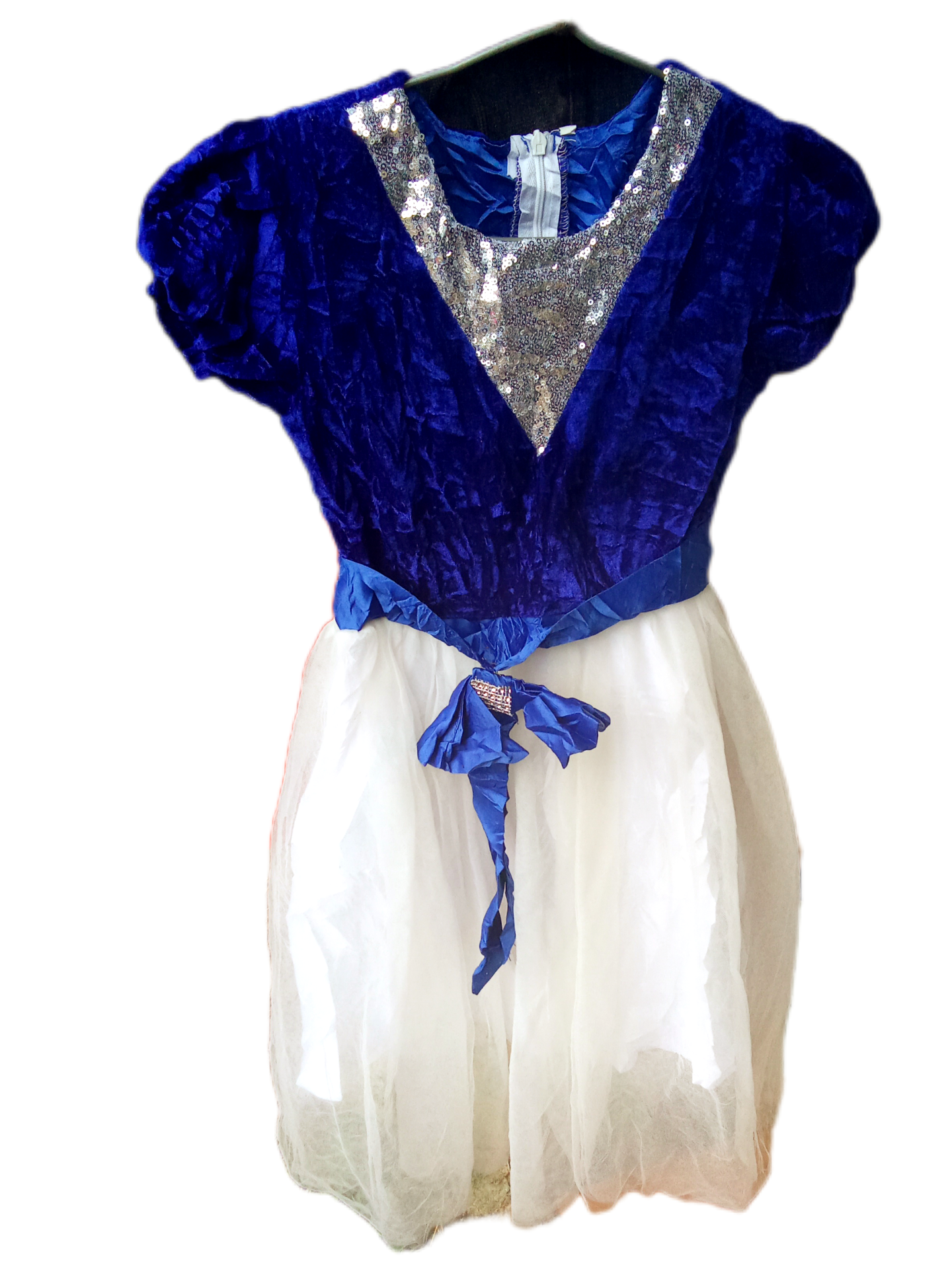 Blue and White Princess Dress
