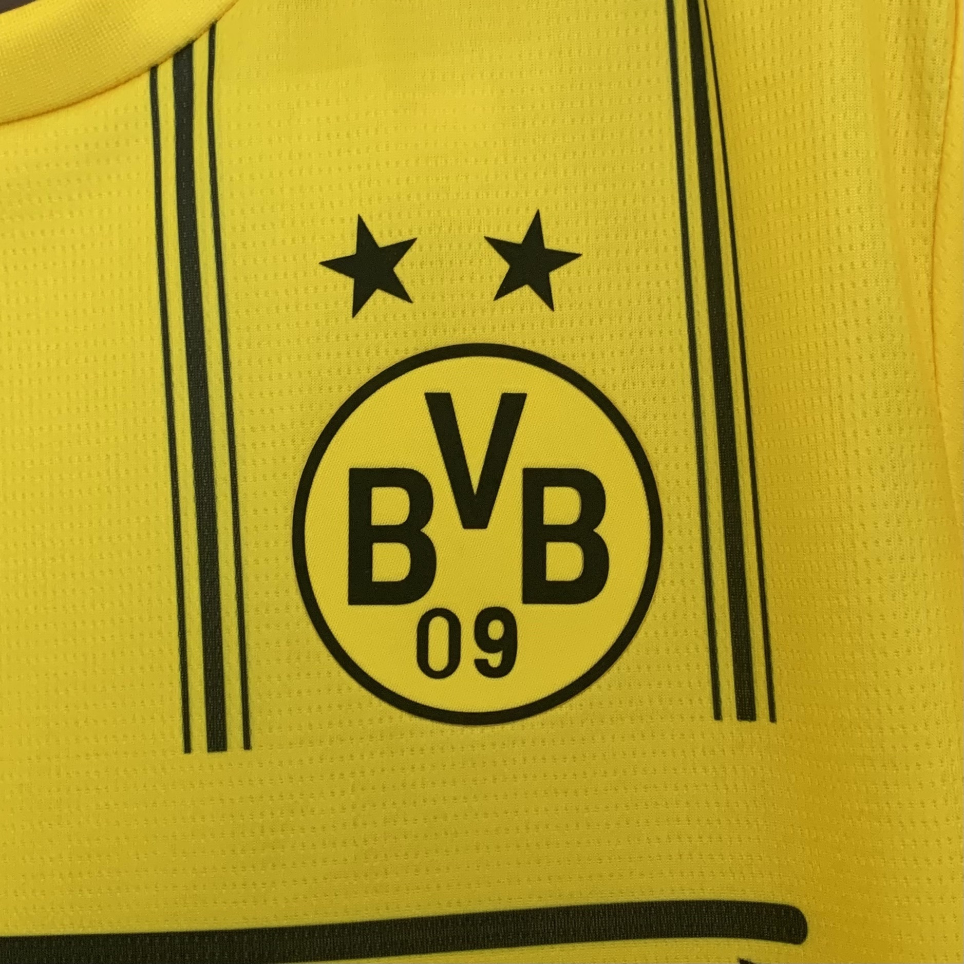 Camiseta Edición Especial Dortmund One Piece 2025/26