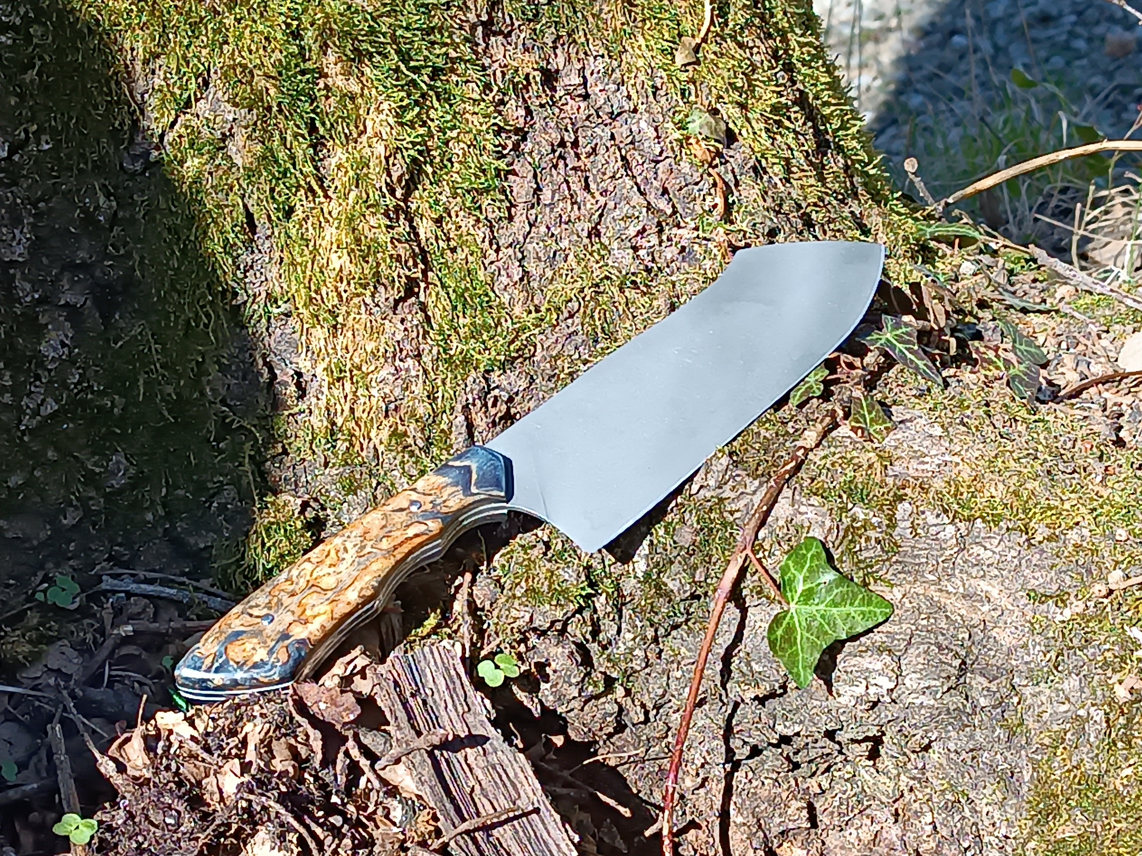 Et la cuisine est à vous !