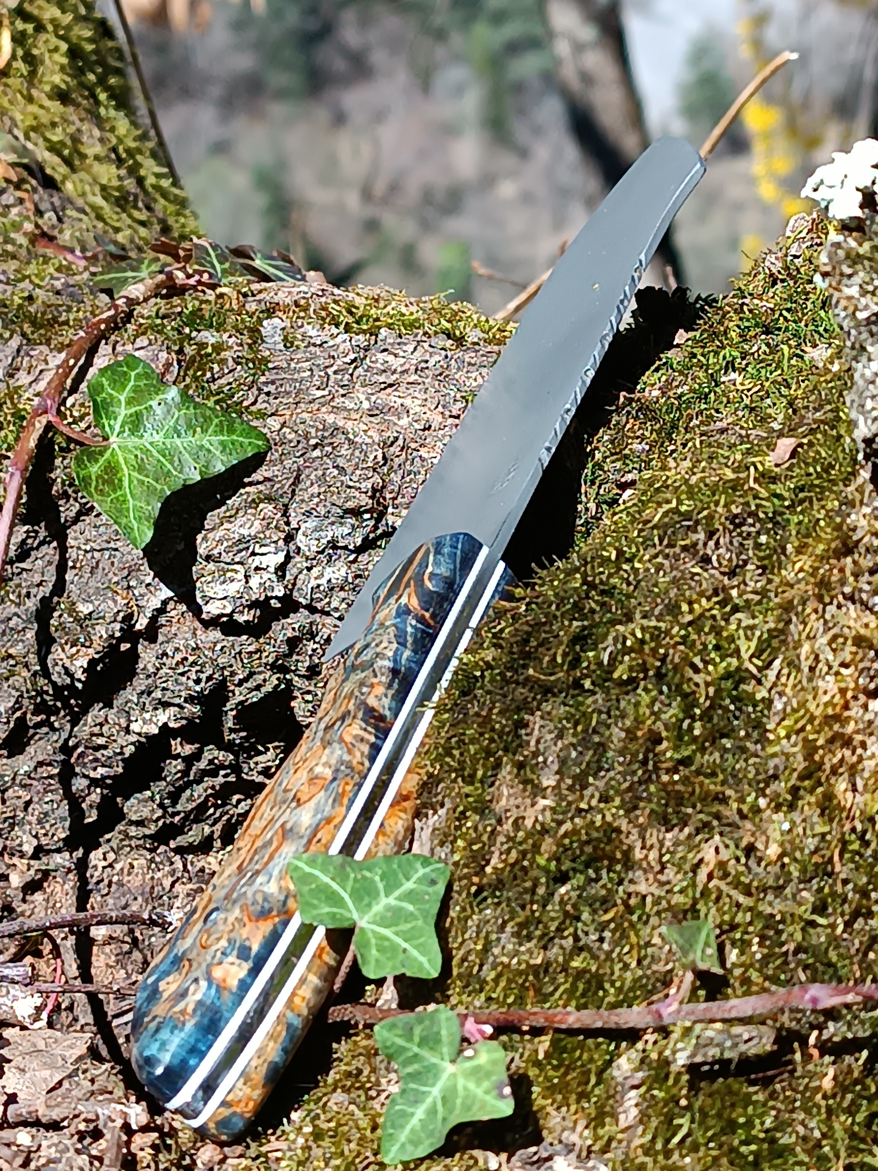 Et la cuisine est à vous !