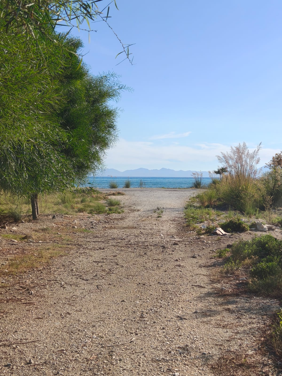 Ören’de Denize Sıfır Satılık Tarla – Muğla / Milas  ₺5.280.000 