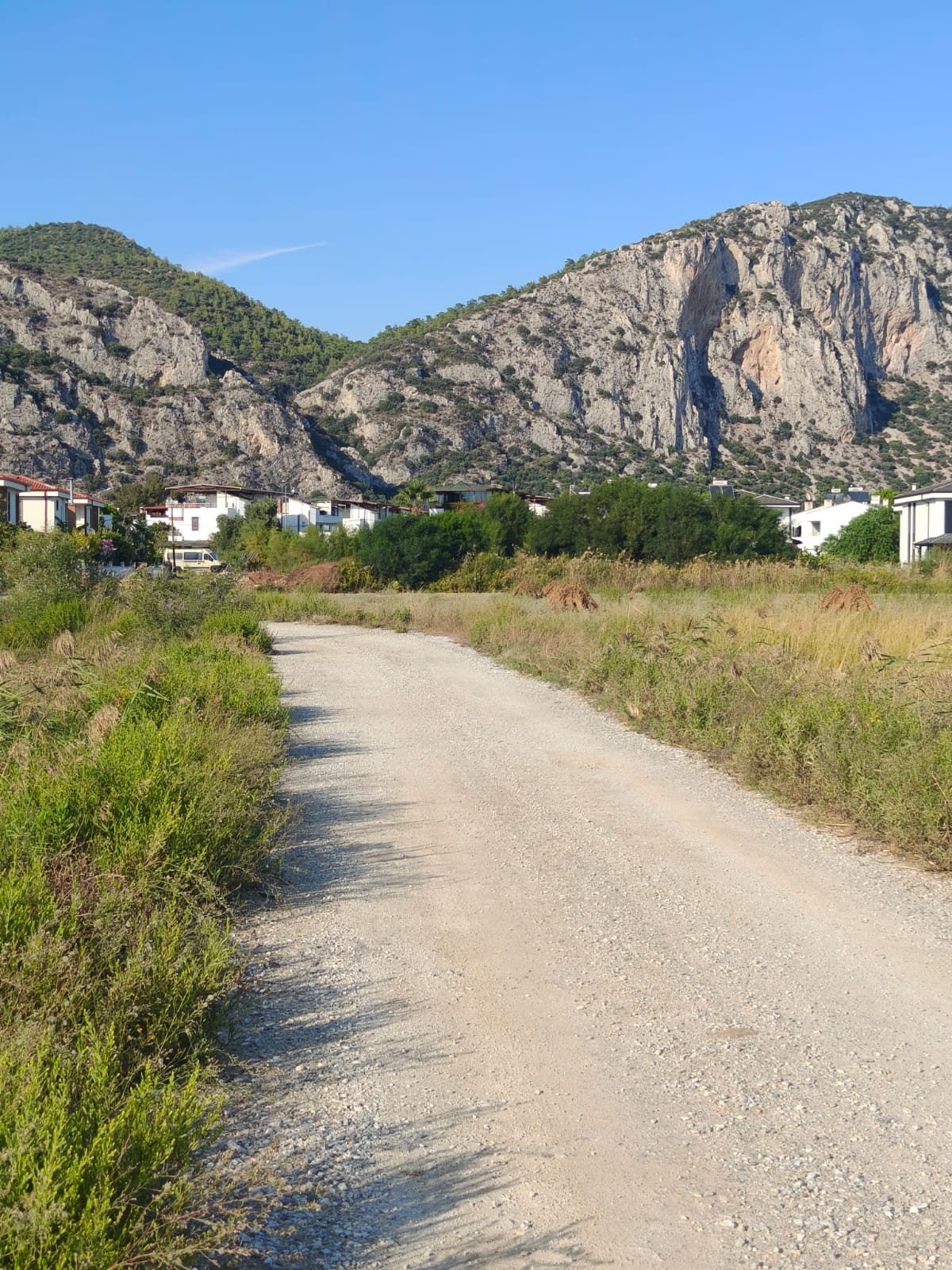 Ören’de Denize Sıfır Satılık Tarla – Muğla / Milas  ₺5.280.000 