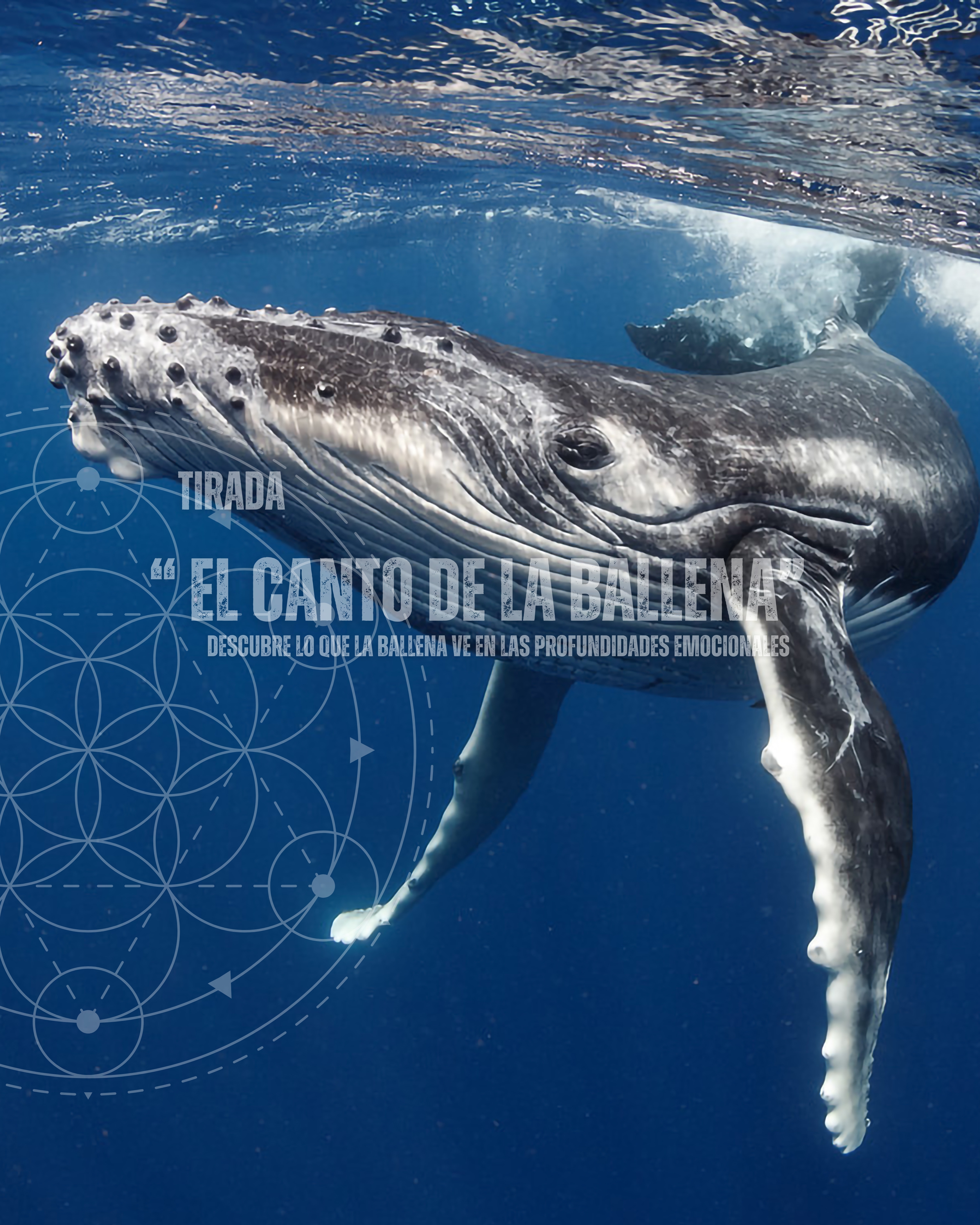 Tirada de tarot "El canto de la ballena"