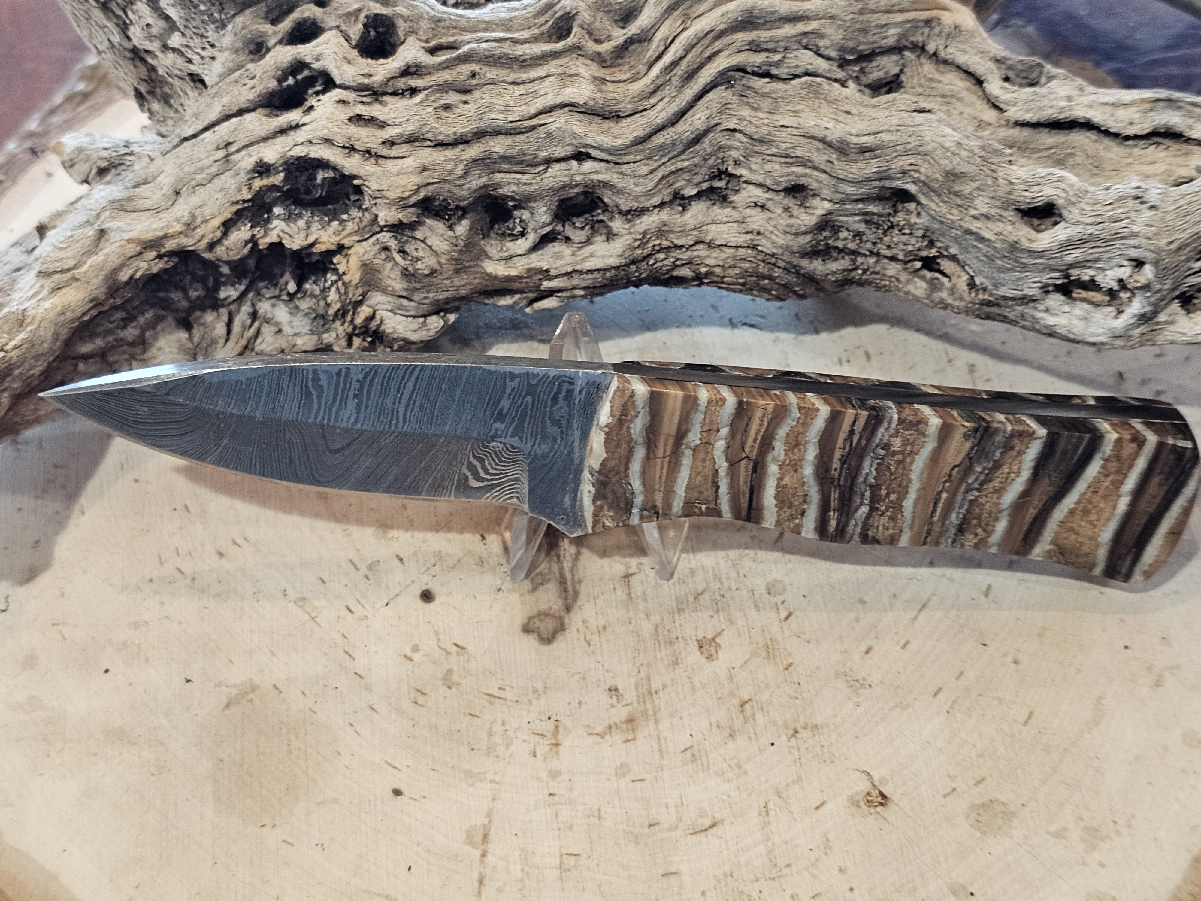 Woolly Mammoth Tooth Damascus Blade Knife