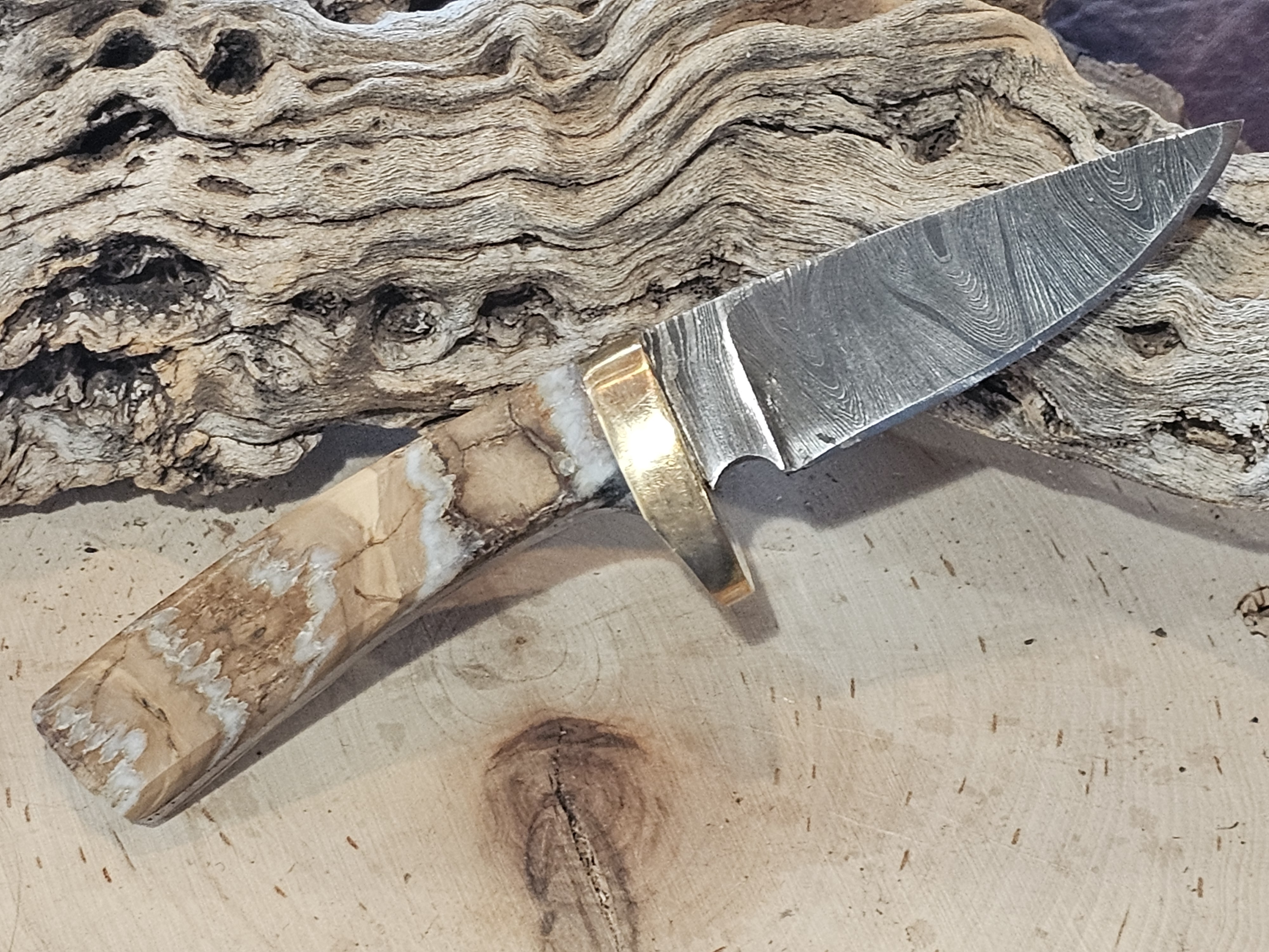 Woolly Mammoth Tooth Fixed Blade Damascus Knife