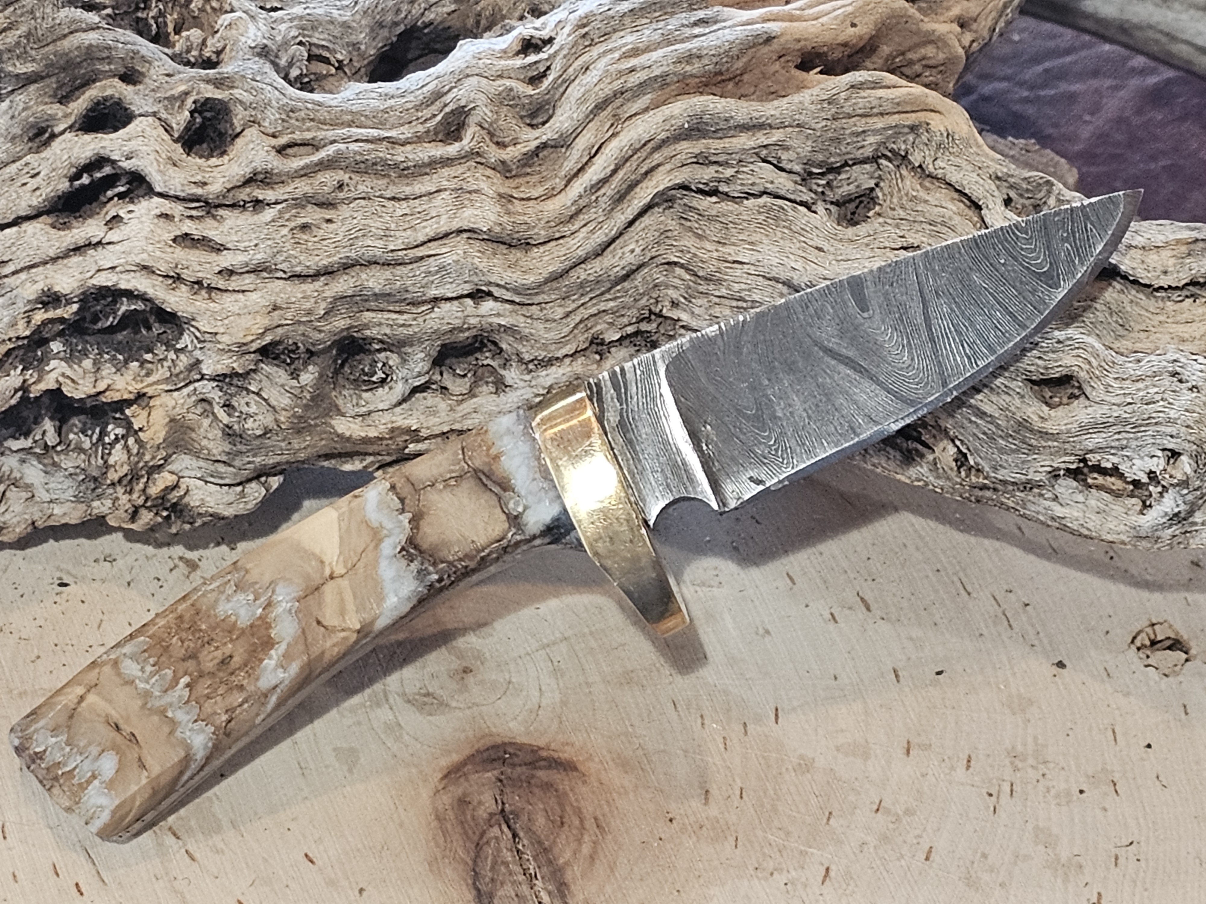 Woolly Mammoth Tooth Fixed Blade Damascus Knife