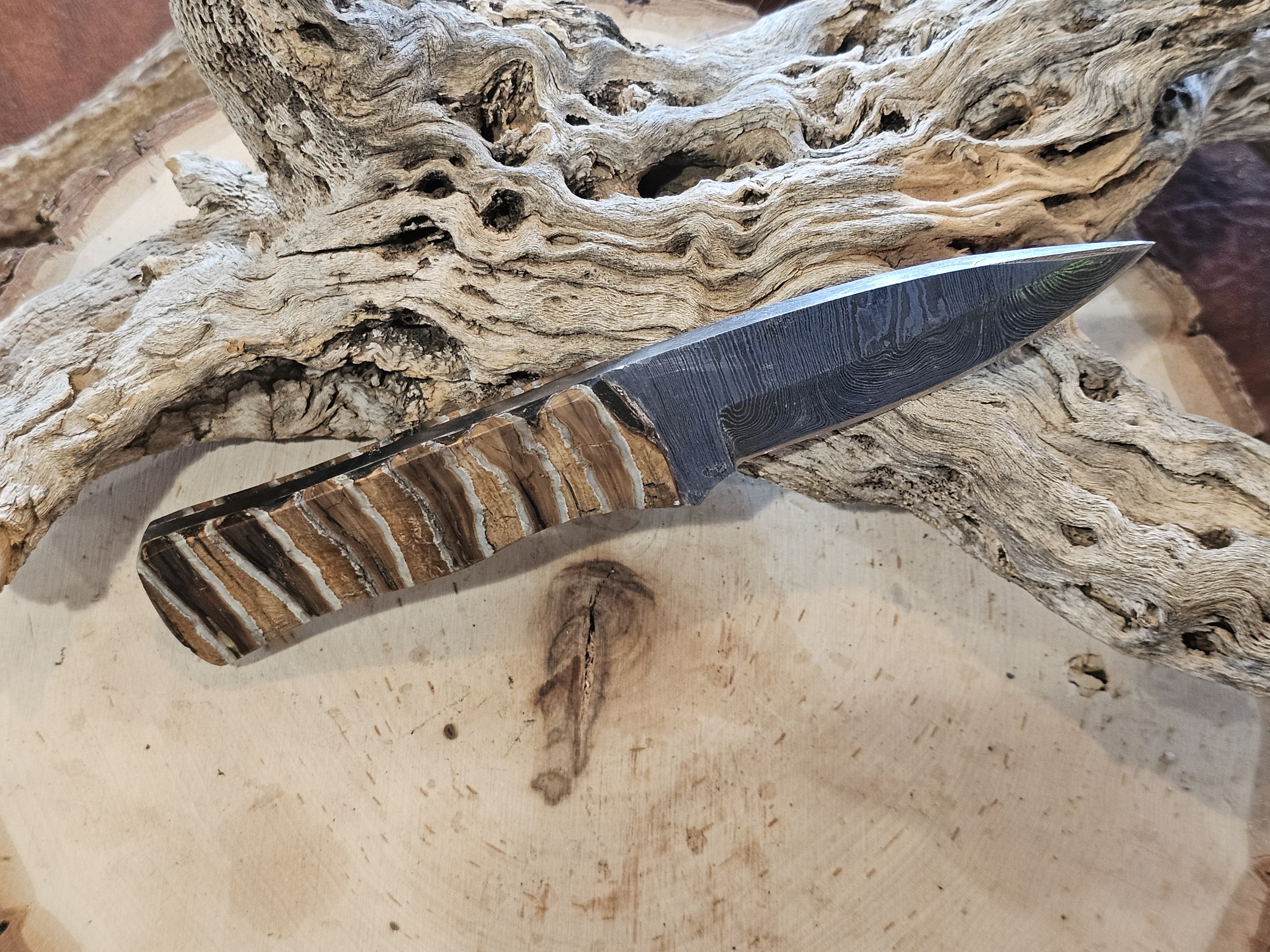 Woolly Mammoth Tooth Damascus Blade Knife