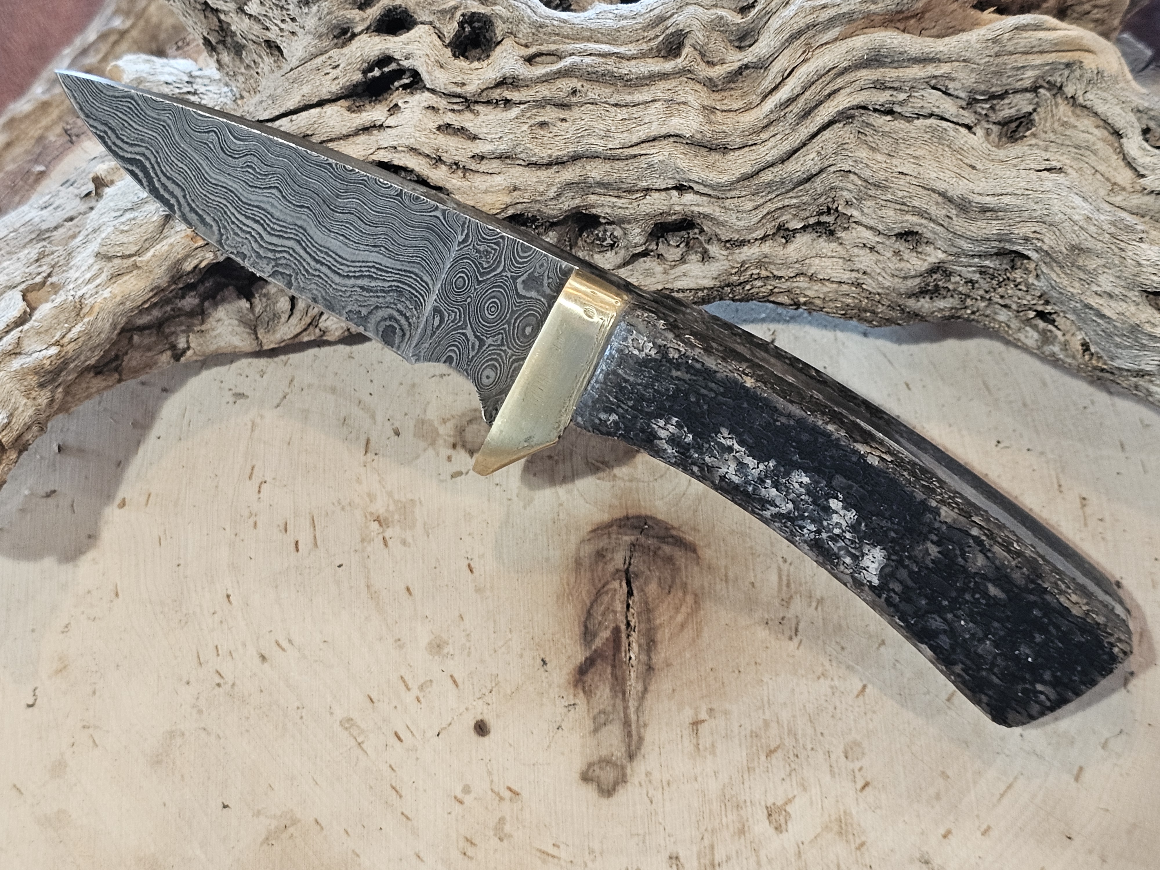 Handcrafted Damascus Steel Knife with Dinosaur Bone handle