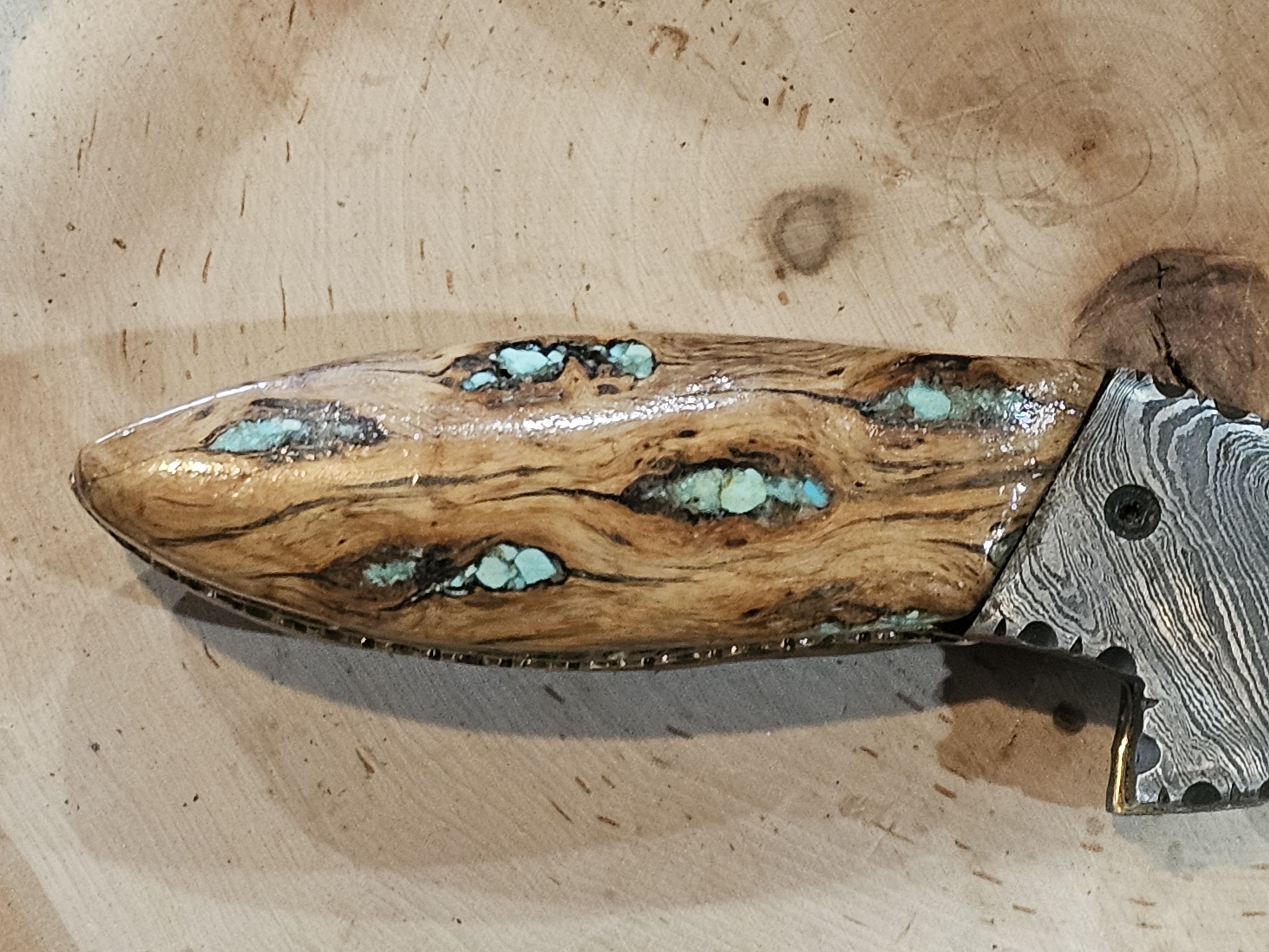 Damascus Folding Knife Cholla Cactus Handle