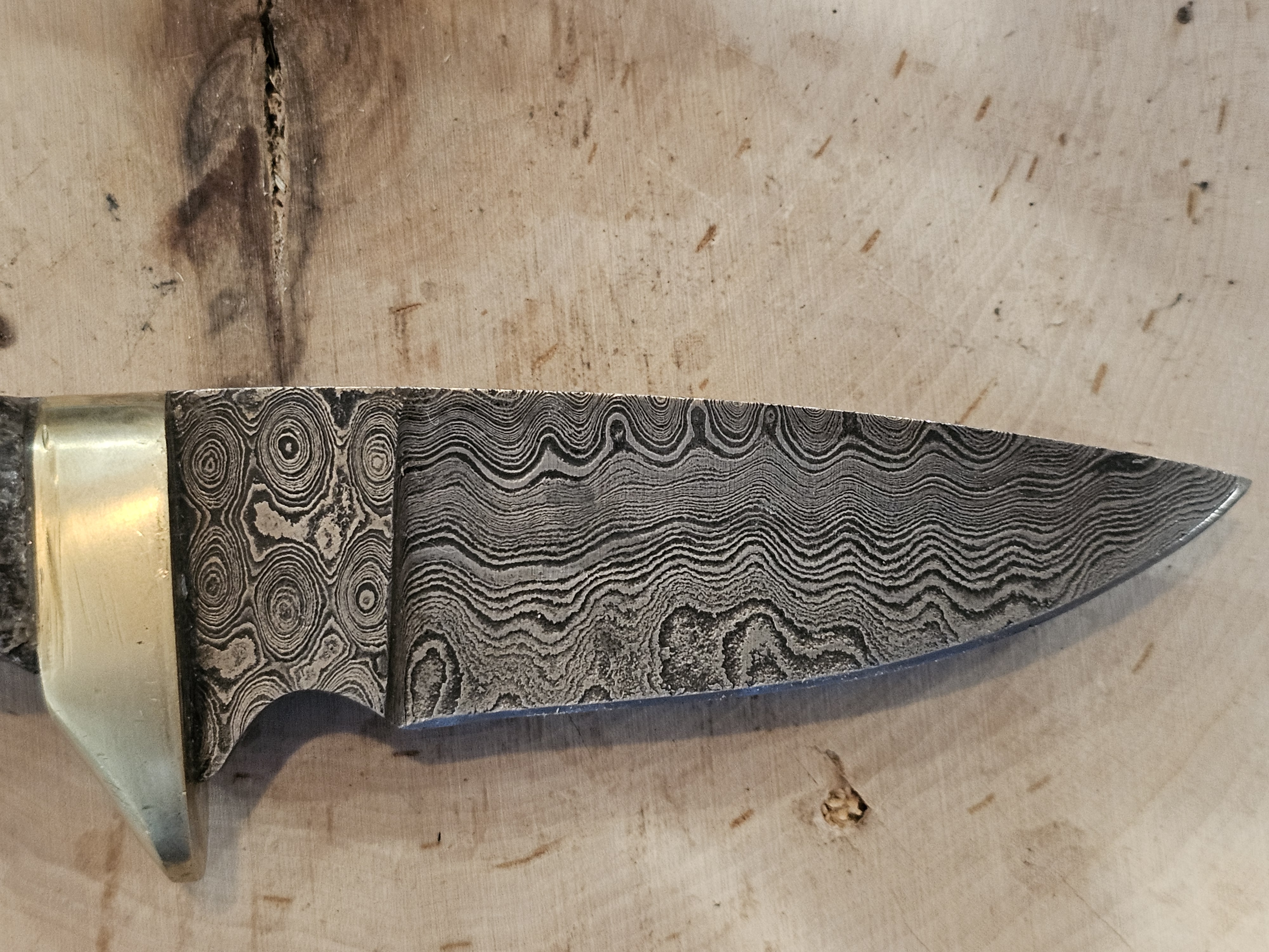 Handcrafted Damascus Steel Knife with Dinosaur Bone handle