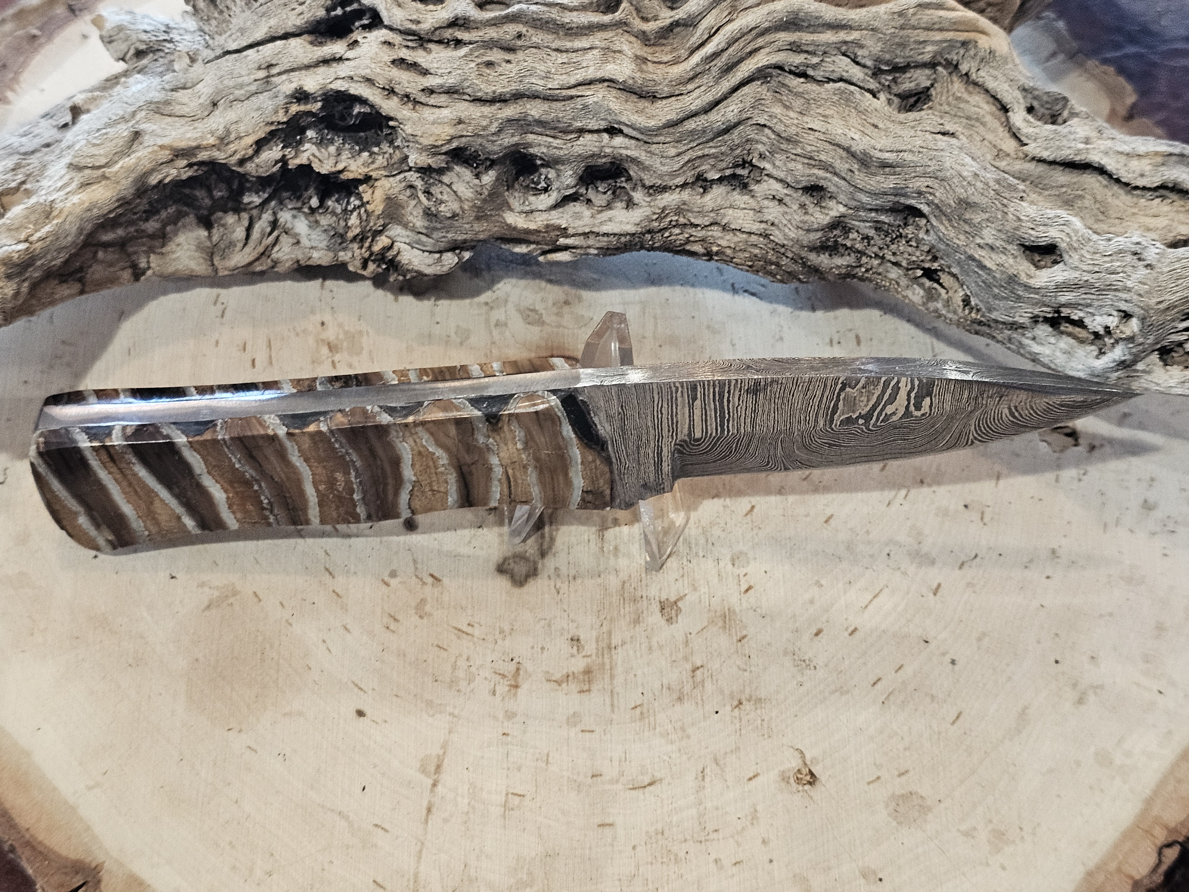 Woolly Mammoth Tooth Damascus Blade Knife