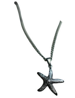 Collar Estrella Plateado