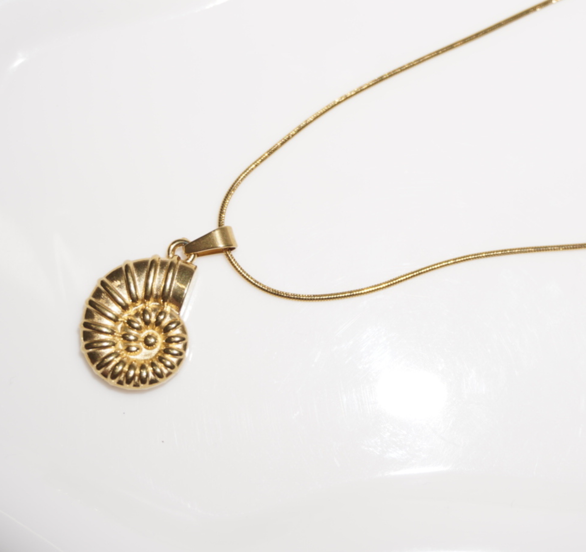 Collar Concha Espiral en Dorado