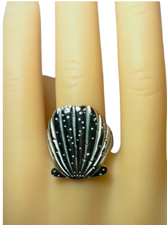 anillo concha en acero