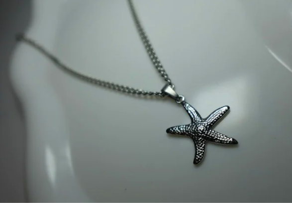 Collar Estrella Plateado