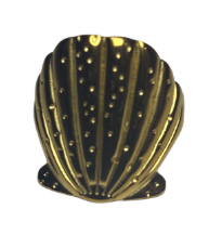 anillo concha en dorado