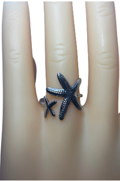 Anillo doble estrella en acero inoxidable 