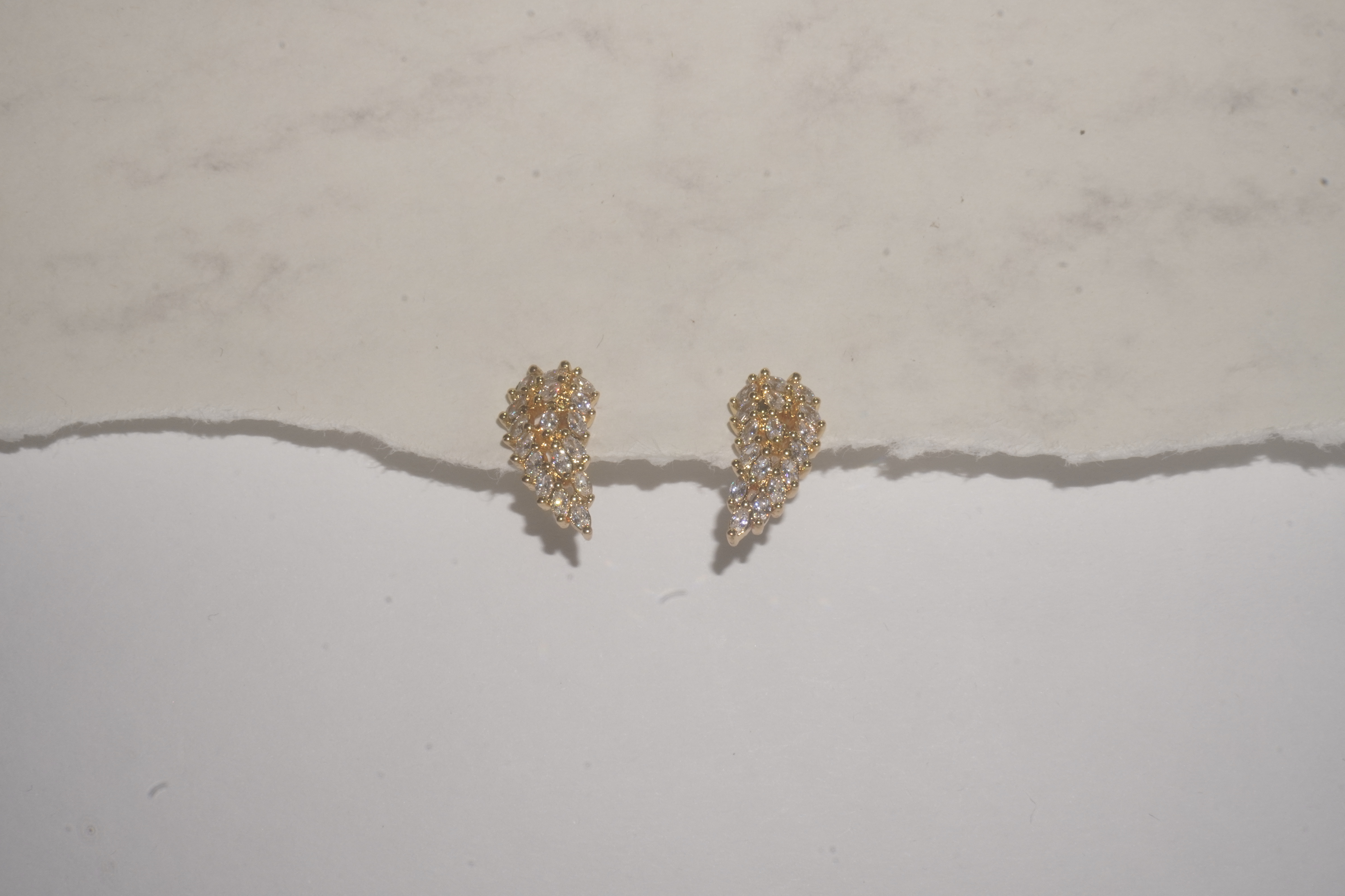 Aretes de alas con brillos