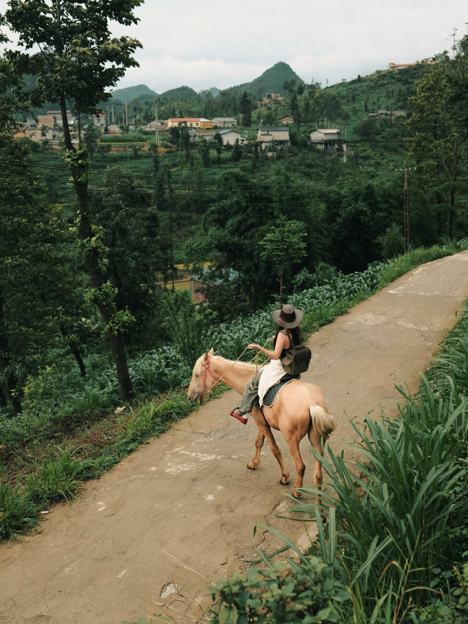 Trải nghiệm cưỡi ngựa