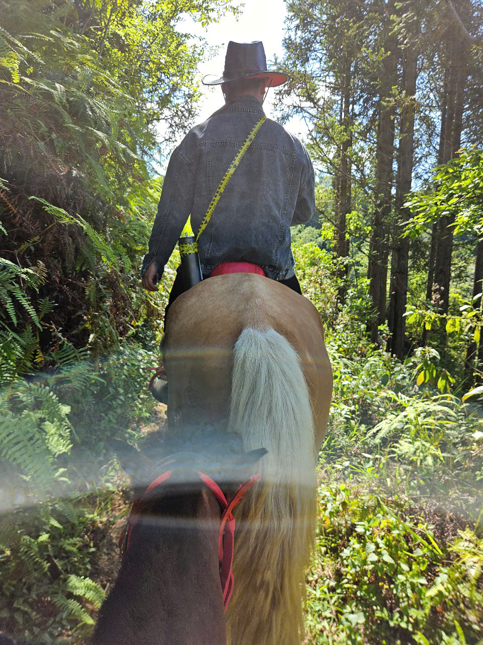 Trải nghiệm cưỡi ngựa