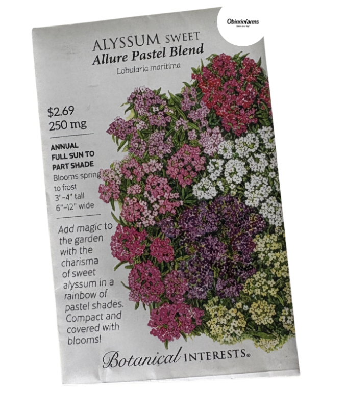 Alyssum Sweet Allure Pastel Blend Seeds