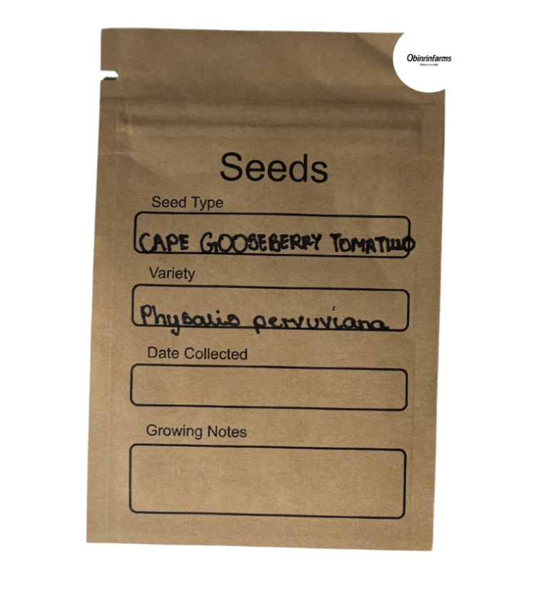 Cape Gooseberry Tomato Seeds