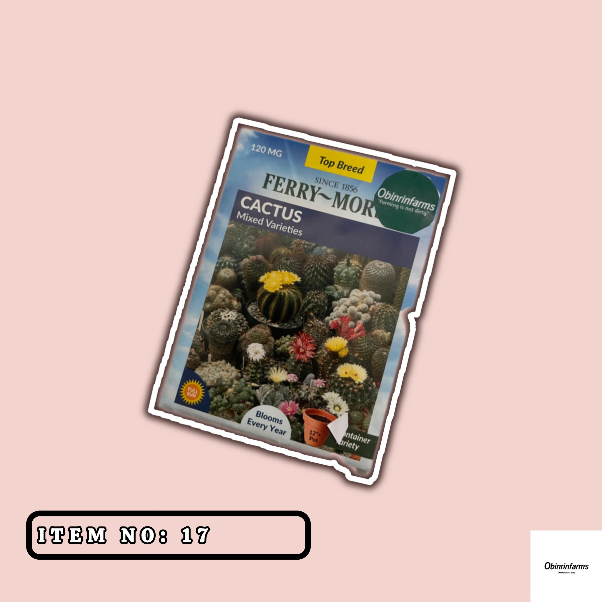 Mixed Varieties Cactus Seeds