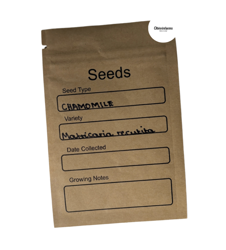 Chamomile Seeds
