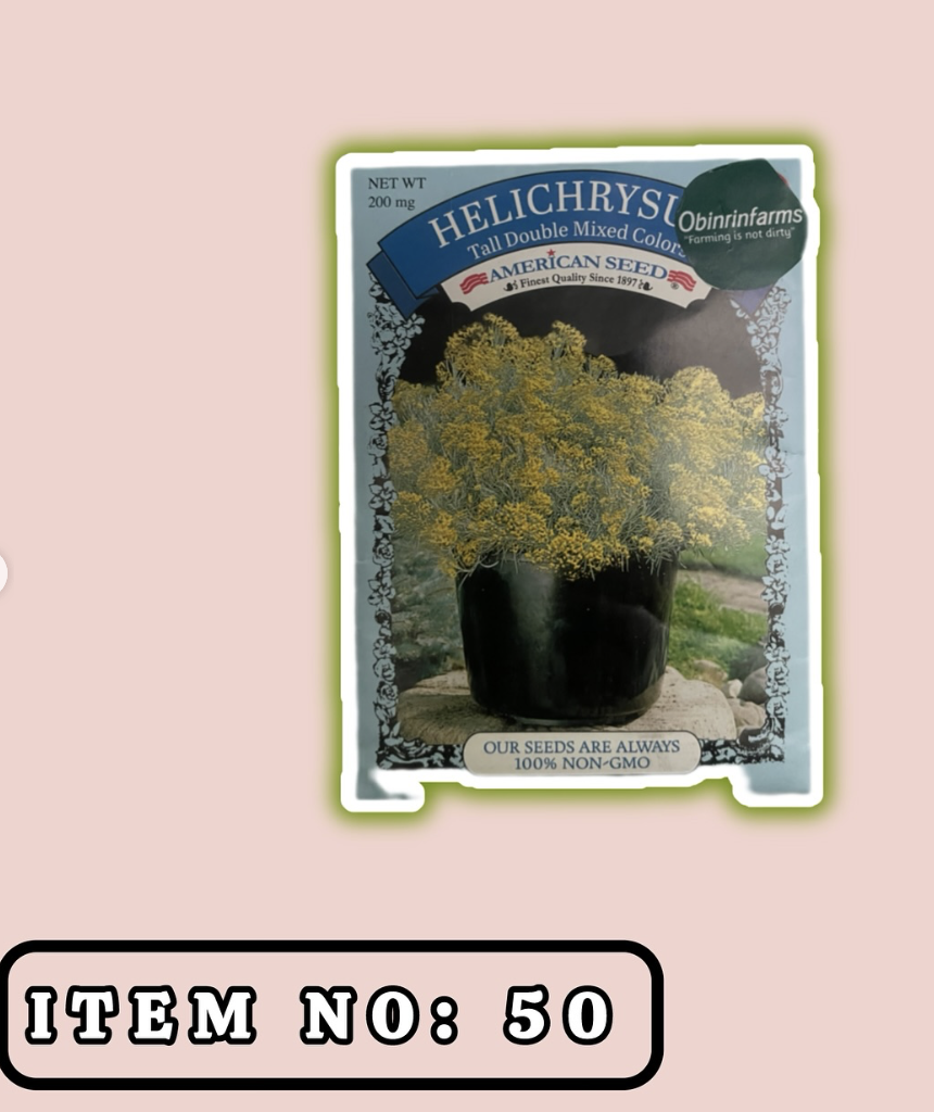 Helichrysum Tall Double Mixed Colors Seeds