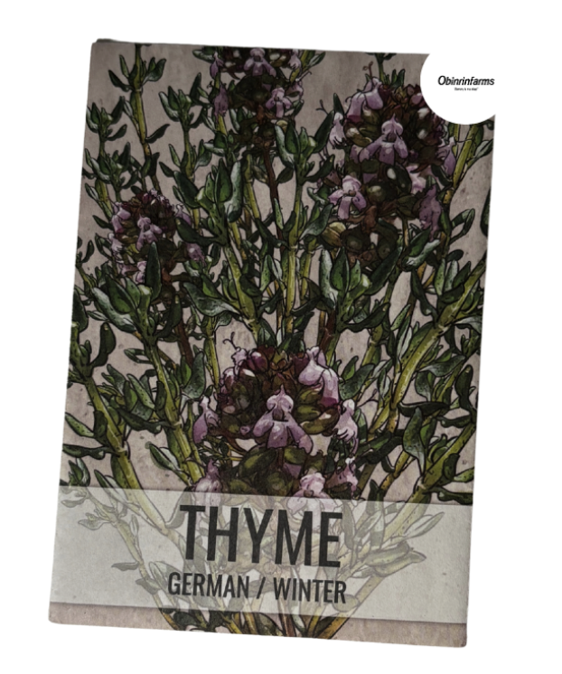 German Winter Thyme Seeds