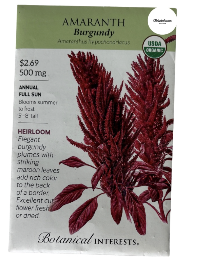 Amaranth Burgundy Seeds
