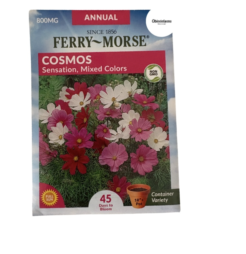 Cosmos Sensation Mixed Colors Seeds