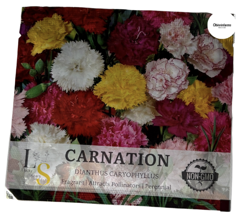 Carnation Seeds
