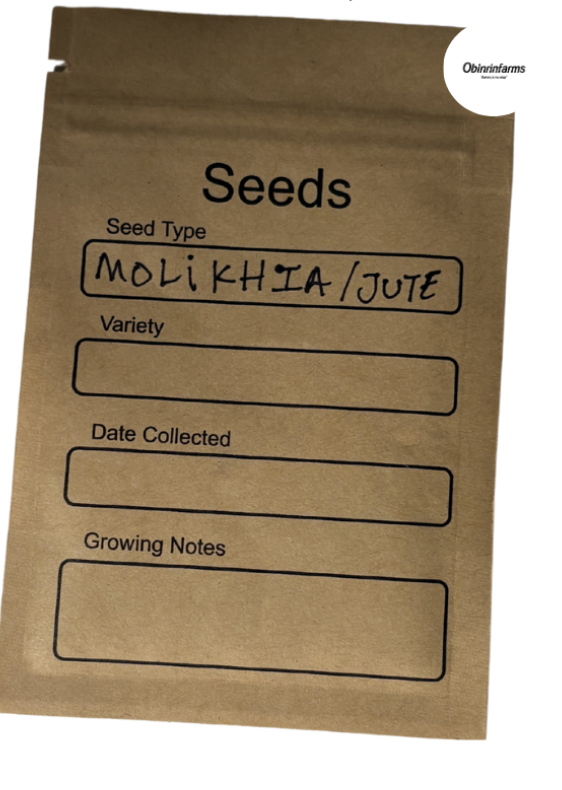 Molikhia/Jute Seeds